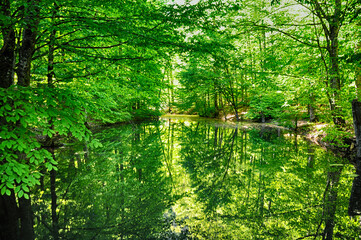 Beautiful lake and spring landscape in Seven Lakes, Yedigoller National Park Bolu, Turkey