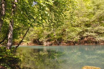 Beautiful lake and spring landscape in Seven Lakes, Yedigoller National Park Bolu, Turkey