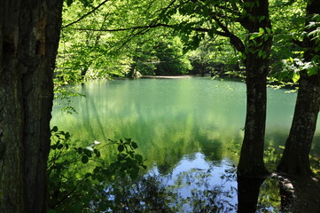 Beautiful lake and spring landscape in Seven Lakes, Yedigoller National Park Bolu, Turkey