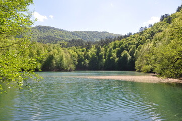 Beautiful lake and spring landscape in Seven Lakes, Yedigoller National Park Bolu, Turkey