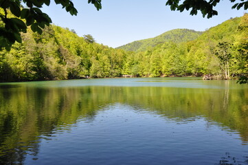 Beautiful lake and spring landscape in Seven Lakes, Yedigoller National Park Bolu, Turkey