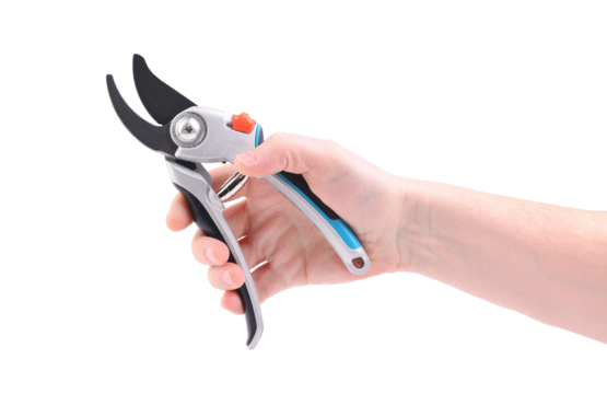 Steel garden secateurs, scissors with gray plastic handle in male's hand isolated on a white background.