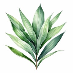 Obraz premium A watercolor painting of a tropical leaf