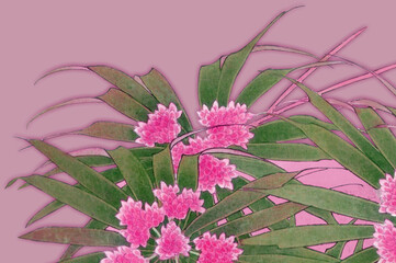 Digital textile flower design with beautiful background