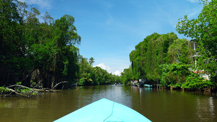 Boat trip on tropical river. Action. Beautiful hiking trip along river in tropical jungle. River...