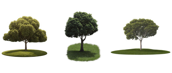 Cutout set of green leaves tree isolated in transparent background.