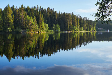 Early morning. Beautiful forest mountain lake. Trees reflected in the water