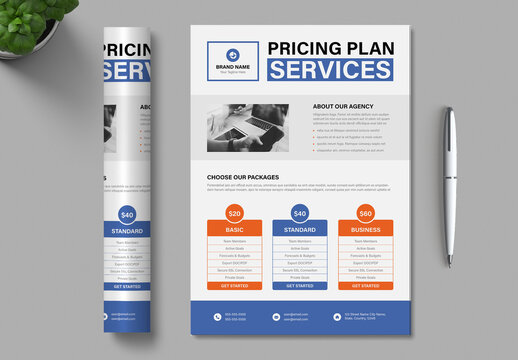 Business Price Table Flyer