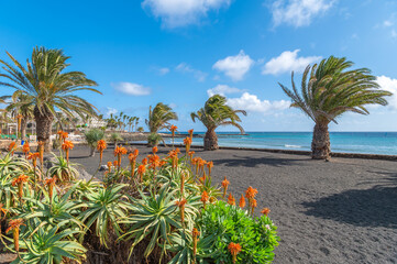Landscape with Costa Teguise on Lanzarote, Canary Islands