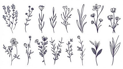 Exquisite hand-drawn floral designs in linear and shadow form, featuring flowers, limbs and foliage. Ideal for labels, logos, branding, wedding invites, wreaths, frames and borders.