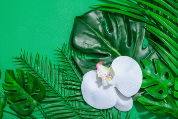 Obraz premium Summer vacation concept. Sunglass, marine decor, palm and monstera leaves, orchid flower