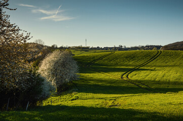 Spring evening landscape at Lower Silesia, Poland