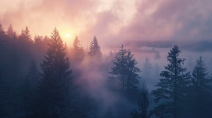 Foggy Sunrise