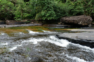Forest Waterways: River, Stream, Waterfall