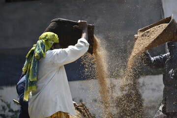 Indian Women on work