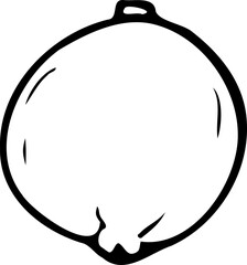 Hand drawn vector line illustration of macadamia in peel isolated on a white background.