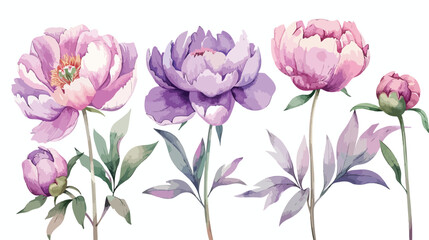 Watercolor floral illustration spring flowers. Pink a