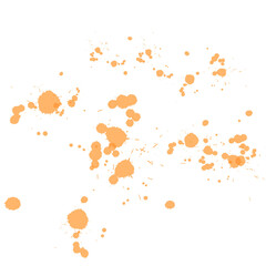 Fototapeta premium colour blast colourful