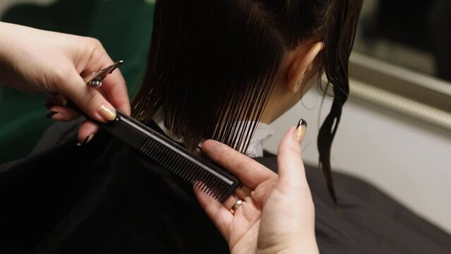 Woman professional hairdresser doing hair styling to client in beauty salon, cutting the ends of the hair, stylist doing hair care procedures	
