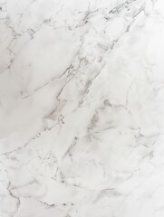 Obraz premium Black and White Marble Texture with Bold Veins.