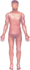 Shaded watercolor silhouette of a male human body