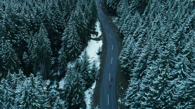 Epic cinematic shot of winter forest, trees covered with snow, two cyclist ride fast down winding road. Aerial drone shot of moody winter road cycling