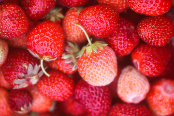 Fresh ripe organic strawberry. Freshly picked red berries. Healthy food.