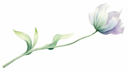 A kawaii water color of a flower bud, just beginning to open, in a morning garden, Clipart isolated on white