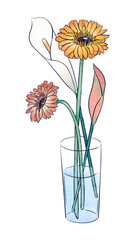 ガーベラとカラー　花の挿絵