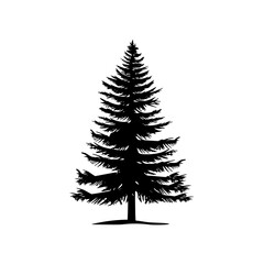 Obraz premium Silhouette of Pine Tree, Black and white silhouette of a pine tree with layered branches, showcasing its symmetrical and elegant shape.
