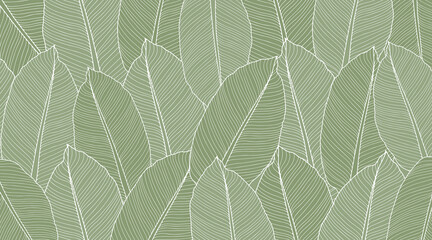 Vector green tropical background with banana leaves for decor, covers, backgrounds, wallpapers © Лилия Агапова
