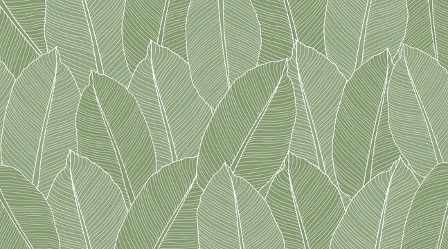 Vector green tropical background with banana leaves for decor, covers, backgrounds, wallpapers