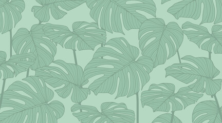 Vector green tropical background with monstera leaves for decor, covers, backdrops, wallpapers © Лилия Агапова