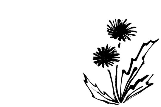 recommend clip art: 筆タッチのシンプルなたんぽぽの線画イラスト