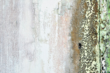 The wall paint is peeling and moldy selective focus