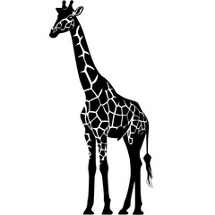 Naklejka premium Silhouette of a Standing Giraffe, Black and white silhouette of a giraffe standing tall, showcasing its distinctive patterned coat and long neck.