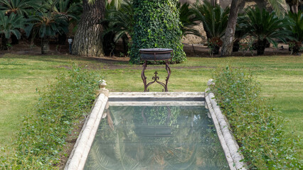 pool in the garden