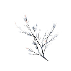 Watercolor Branch with Leaves Illustration Isolated on Transparent Background
