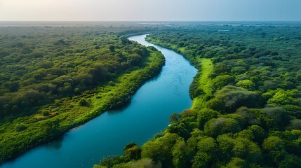 environmental water, water ecosystem,scenic, outdoors,Aerial View of Pristine River and Dense Forest,High resolution image 