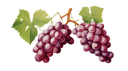 Bunch of ripe grapes on white background