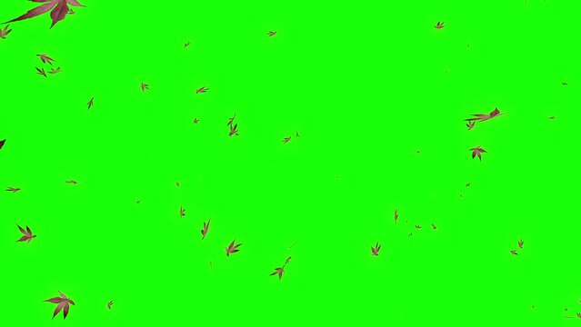 Animation of leaves floating in the summer breeze on a green background.