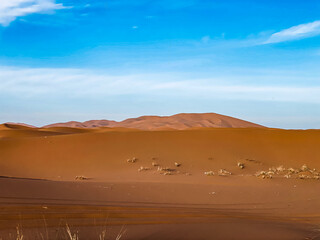 Majestätische Sanddünen in der Sahara