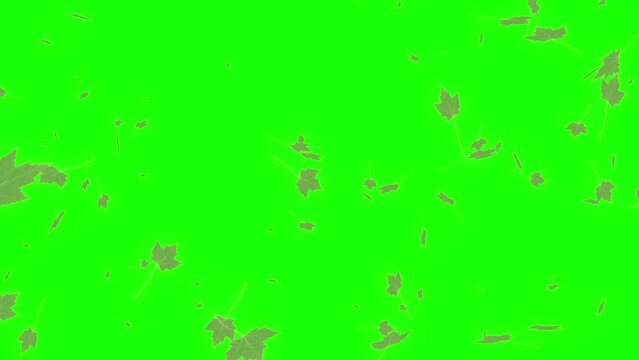 Animation of leaves floating in the summer breeze on a green background.