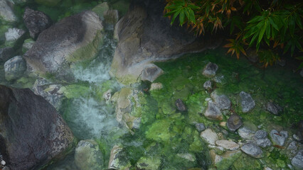 Obraz premium Beautiful view of flowing water in mountain gorge in jungle. Clip. Beautiful stream of river moving in stone gorge. Clear spring stream moves in jungle in summer