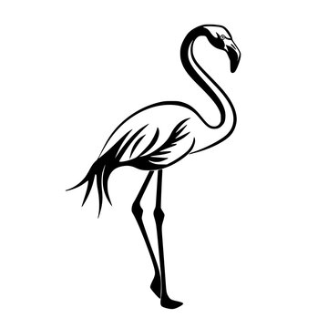recommend clip art: Silhouette of a Standing Flamingo, Black and white silhouette of a flamingo standing, highlighting its long neck, legs, and distinctive beak.