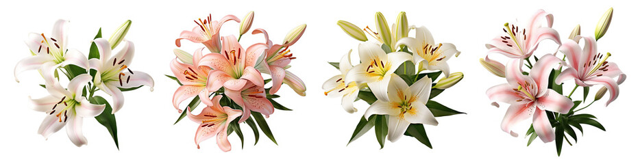 Set of elegant blooming lilies with buds, cut out © Yeti Studio