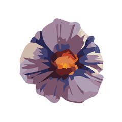 Flower. Beautiful romantic flower