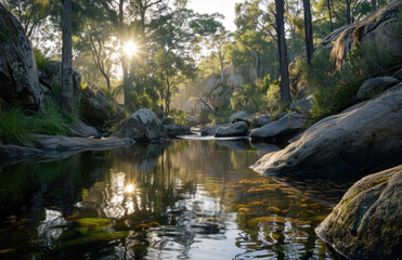 A tranquil and serene photograph of a clearing in an Australian forest. Created with Ai