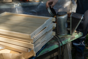 Bee keeper in a uniform standing in apiary and holding a honeybee frame