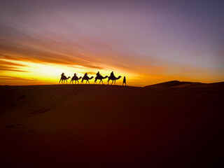 W&uuml;stenkarawane: Kamele im Sonnenuntergang